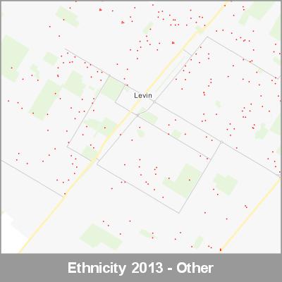 Ethnicity Levin Other ProductImage 2013