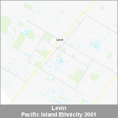 Ethnicity Levin Pacific ProductImage 2001