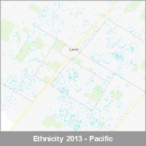 Ethnicity Levin Pacific ProductImage 2013