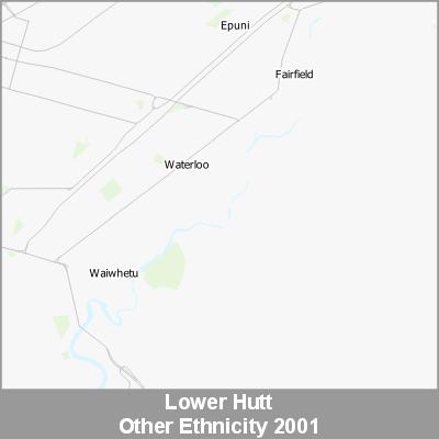 Ethnicity Lower Hutt Other ProductImage 2001