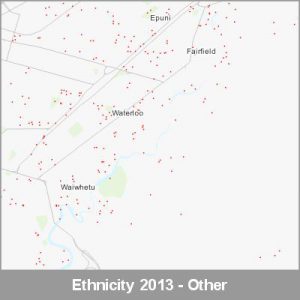 Ethnicity Lower Hutt Other ProductImage 2013