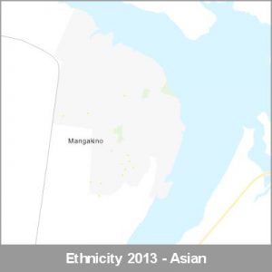 Ethnicity Mangakino Asian ProductImage 2013