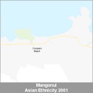 Ethnicity Mangonui Asian ProductImage 2001