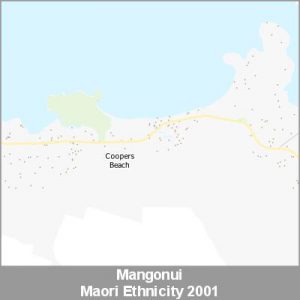 Ethnicity Mangonui Maori ProductImage 2001