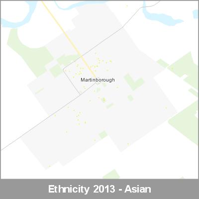 Ethnicity Martinborough Asian ProductImage 2013