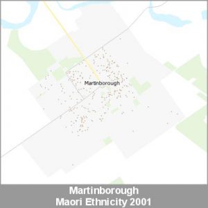 Ethnicity Martinborough Maori ProductImage 2001