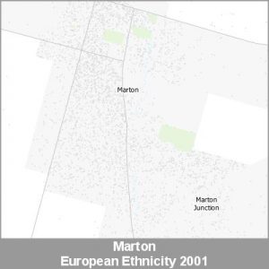 Ethnicity Marton European ProductImage 2001