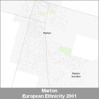 Ethnicity Marton European ProductImage 2001