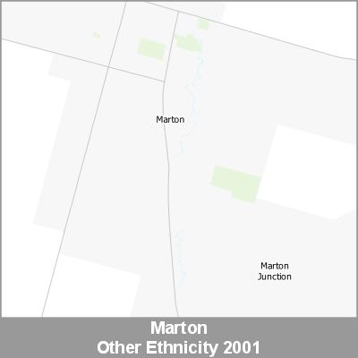 Ethnicity Marton Other ProductImage 2001