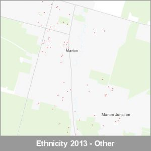 Ethnicity Marton Other ProductImage 2013