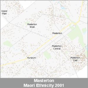 Ethnicity Masterton Maori ProductImage 2001