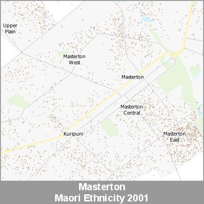 Ethnicity Masterton Maori ProductImage 2001