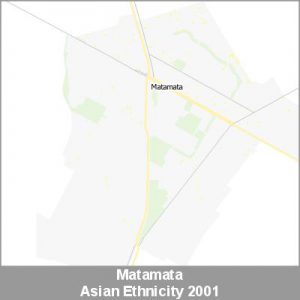 Ethnicity Matamata Asian ProductImage 2001