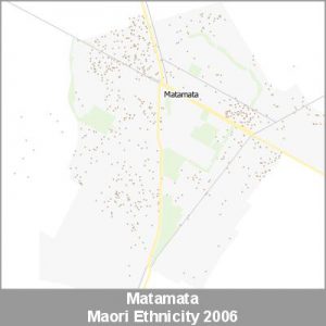 Ethnicity Matamata Maori ProductImage 2006