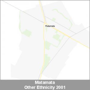 Ethnicity Matamata Other ProductImage 2001
