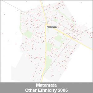 Ethnicity Matamata Other ProductImage 2006