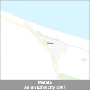 Ethnicity Matata Asian ProductImage 2001