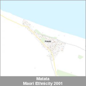 Ethnicity Matata Maori ProductImage 2001