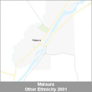 Ethnicity Mataura Other ProductImage 2001