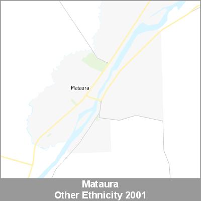 Ethnicity Mataura Other ProductImage 2001