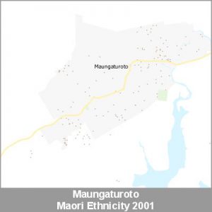 Ethnicity Maungaturoto Maori ProductImage 2001