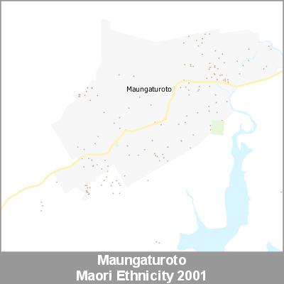 Ethnicity Maungaturoto Maori ProductImage 2001