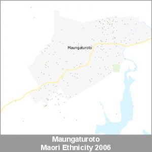 Ethnicity Maungaturoto Maori ProductImage 2006