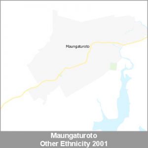 Ethnicity Maungaturoto Other ProductImage 2001