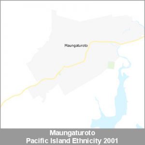 Ethnicity Maungaturoto Pacific ProductImage 2001