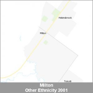 Ethnicity Milton Other ProductImage 2001