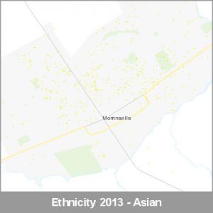 Ethnicity Morrinsville Asian ProductImage 2013