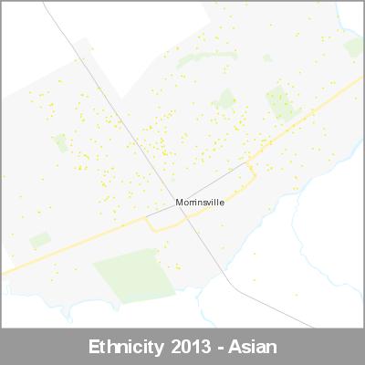 Ethnicity Morrinsville Asian ProductImage 2013
