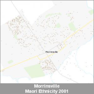 Ethnicity Morrinsville Maori ProductImage 2001