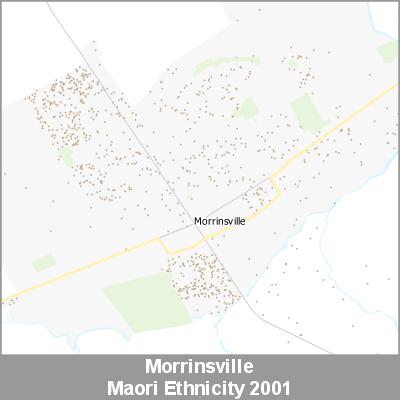 Ethnicity Morrinsville Maori ProductImage 2001