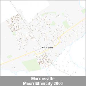 Ethnicity Morrinsville Maori ProductImage 2006
