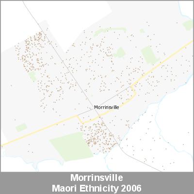 Ethnicity Morrinsville Maori ProductImage 2006