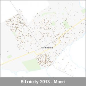 Ethnicity Morrinsville Maori ProductImage 2013