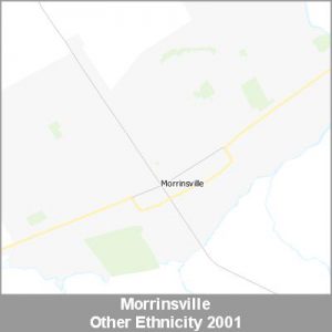 Ethnicity Morrinsville Other ProductImage 2001
