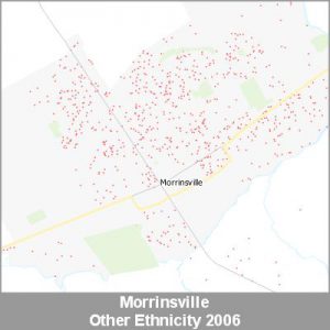 Ethnicity Morrinsville Other ProductImage 2006