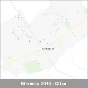 Ethnicity Morrinsville Other ProductImage 2013