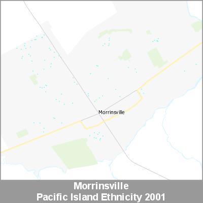 Ethnicity Morrinsville Pacific ProductImage 2001