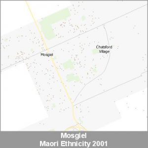 Ethnicity Mosgiel Maori ProductImage 2001