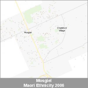 Ethnicity Mosgiel Maori ProductImage 2006