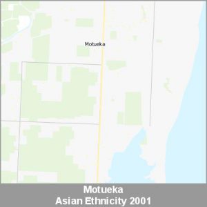 Ethnicity Motueka Asian ProductImage 2001