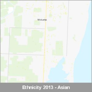 Ethnicity Motueka Asian ProductImage 2013