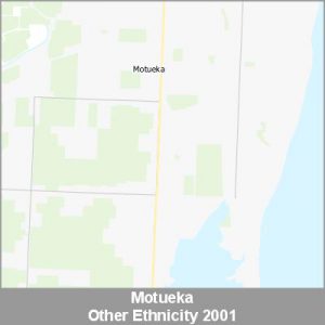 Ethnicity Motueka Other ProductImage 2001