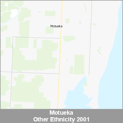 Ethnicity Motueka Other ProductImage 2001