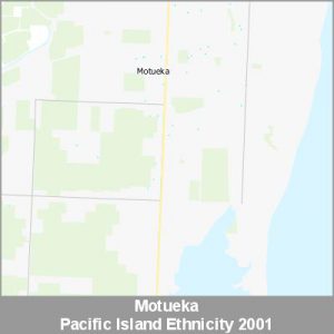 Ethnicity Motueka Pacific ProductImage 2001