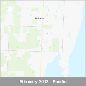 Ethnicity Motueka Pacific ProductImage 2013