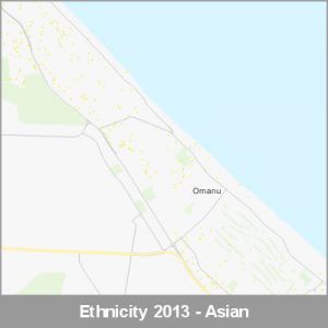 Ethnicity Mt Maunganui Asian ProductImage 2013